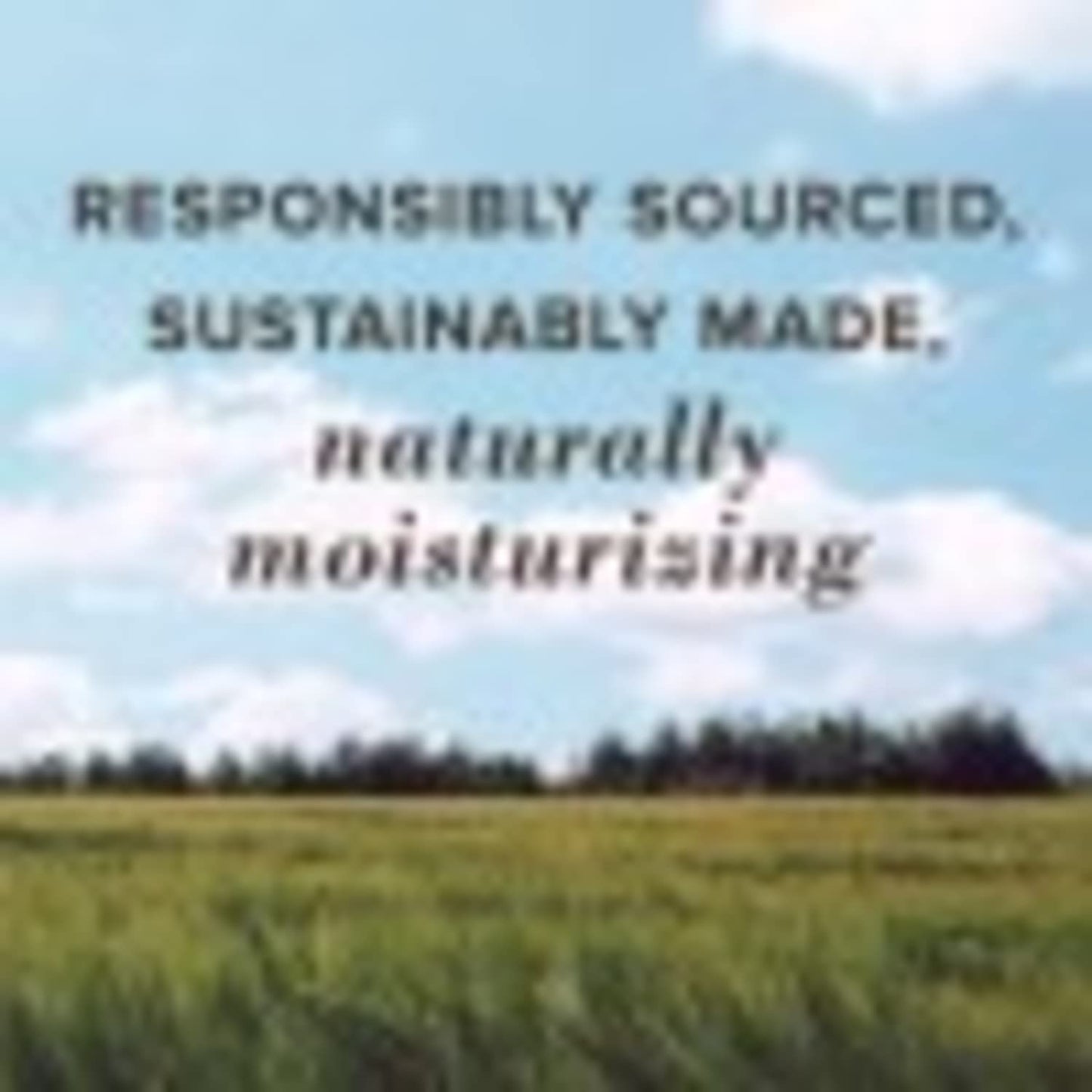 Burt's Bees 100% Natural Moisturizing Lip Balm, Vanilla Bean - 4 Tubes