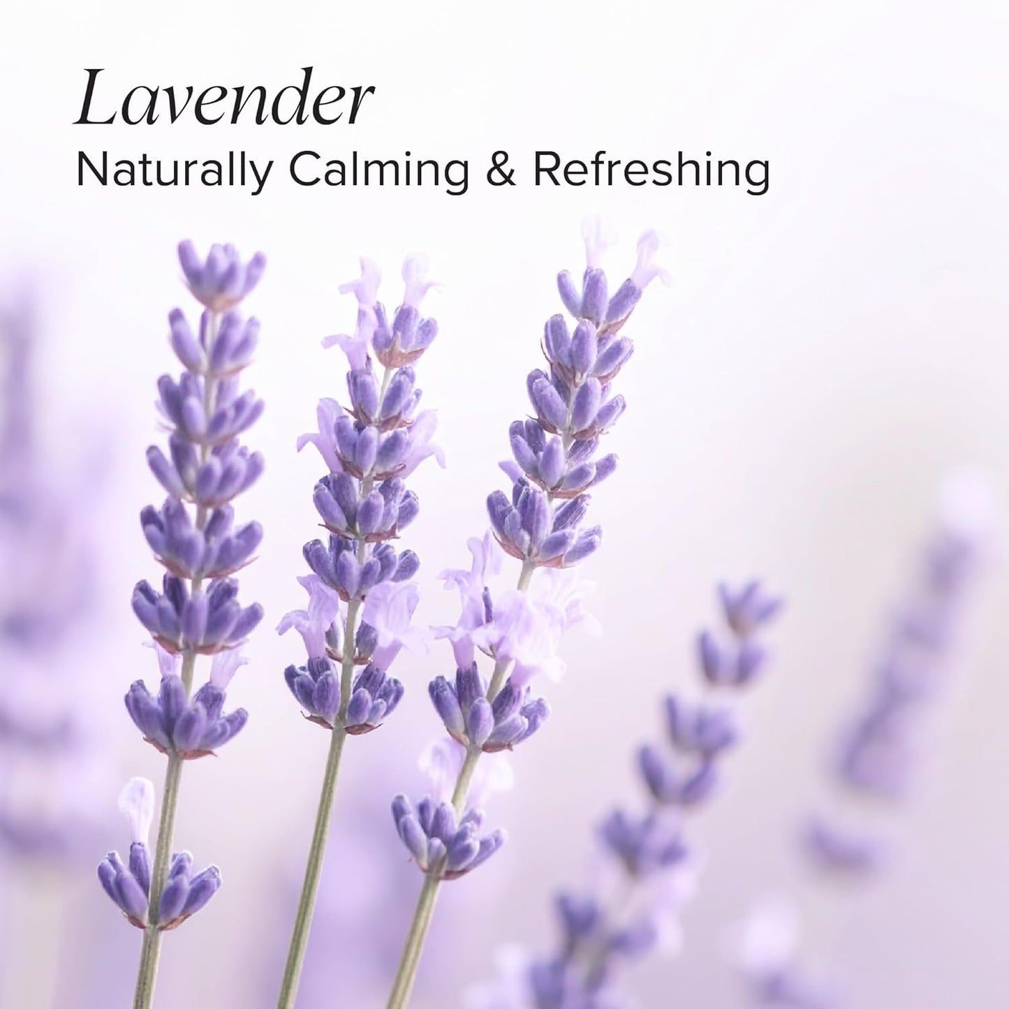 DRMTLGY Natural Lavender Linen Mist and Room Spray. Pure Lavender Essential Oil and Chamomile Pillow Spray, and Fabric Aromatherapy Spray, 8oz, 2 pack