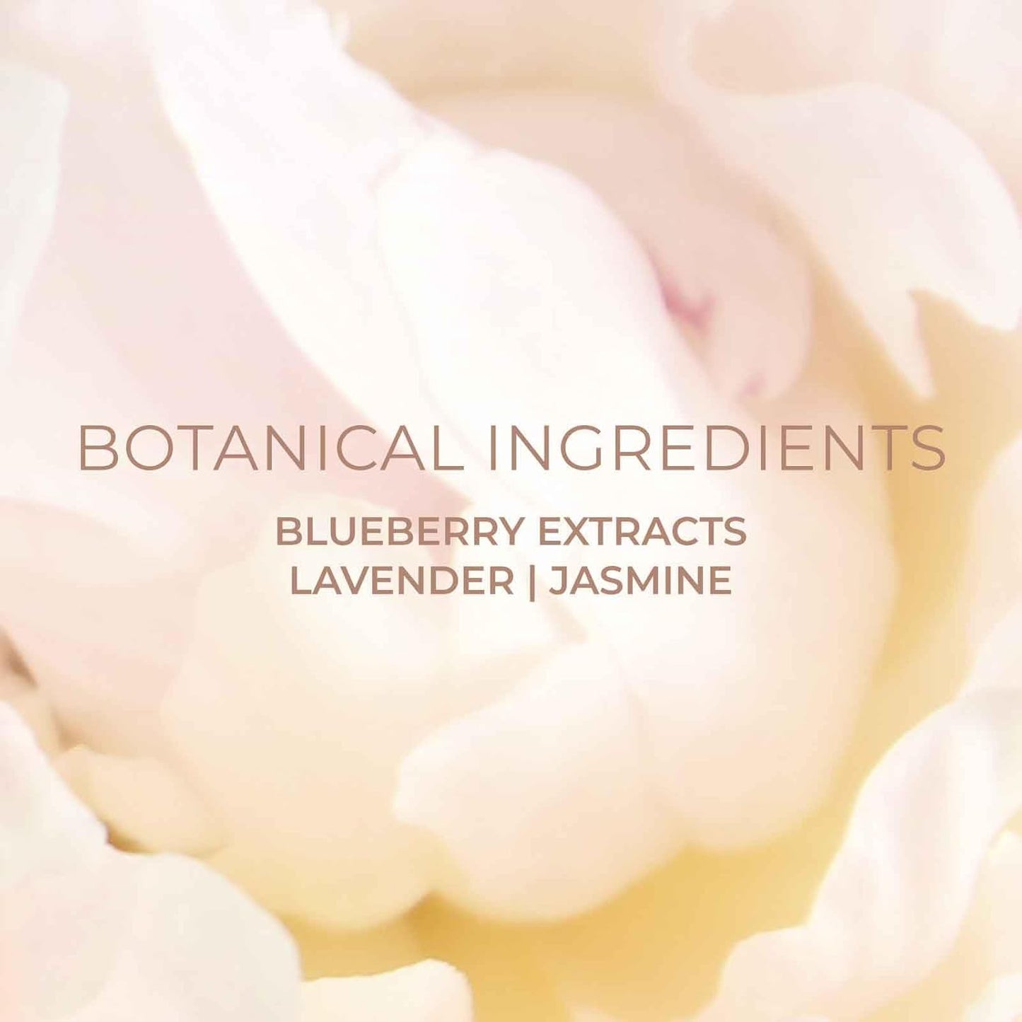 Cleansing Gel Face Wash (3.38 oz) | Hydrating Daily Facial Gel Cleanser & Makeup Remover with Blueberry Extracts | Korean Skincare