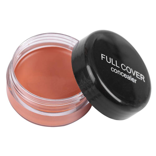 Concealer Conceal Dark Circles Eye Bags Acne Marks Makeup (FC04)