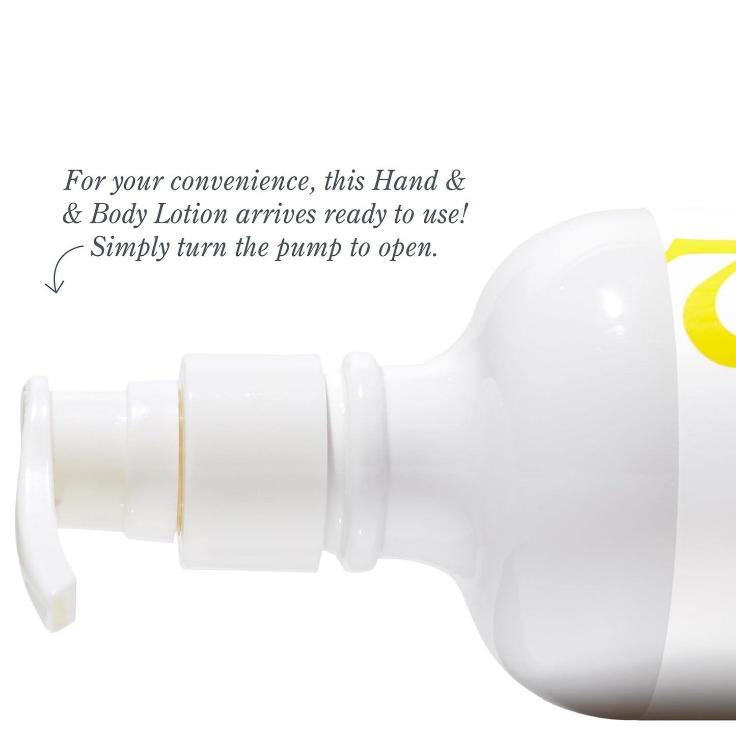 Beekman 1802 Coconut Cream Goat Milk Body Lotion - Scented - 12.5 oz - Hydrating & Moisturizing with Shea Butter - for Sensitive Skin - Cruelty Free - Packaging May Vary - Pump Included, Ready for Use