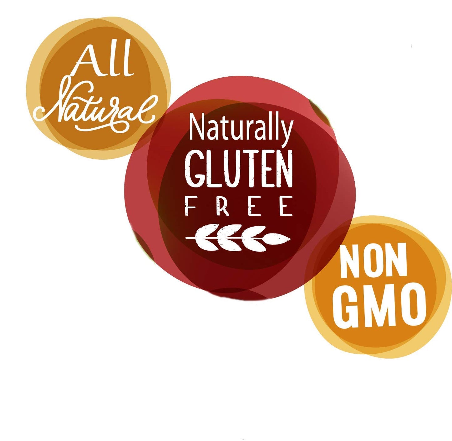 Amish Country Popcorn | Seasoning Variety Pack | Sour Cream and Onion & Cheddar Cheese Popcorn Topping | 2 Pack Flavor Variety Bundle | Old Fashioned, Non-GMO and Gluten Free