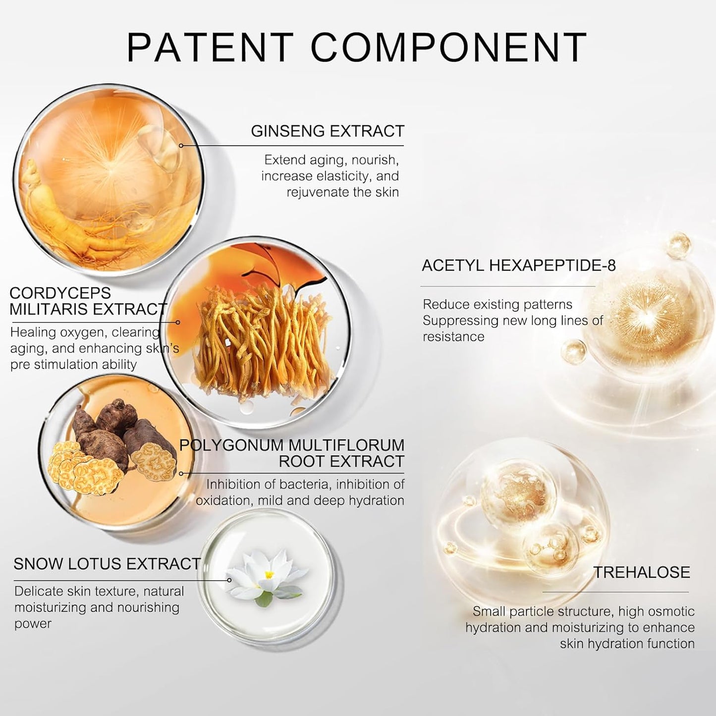 Condensing Beauty Nine-Pieces Skin Care Set kit Women Beauty Gift with Cleanser, Toner, Serum, Lotion, Eye Cream, Face Cream, BB Cream for Birthday, Christmas Day and Valentine's Day