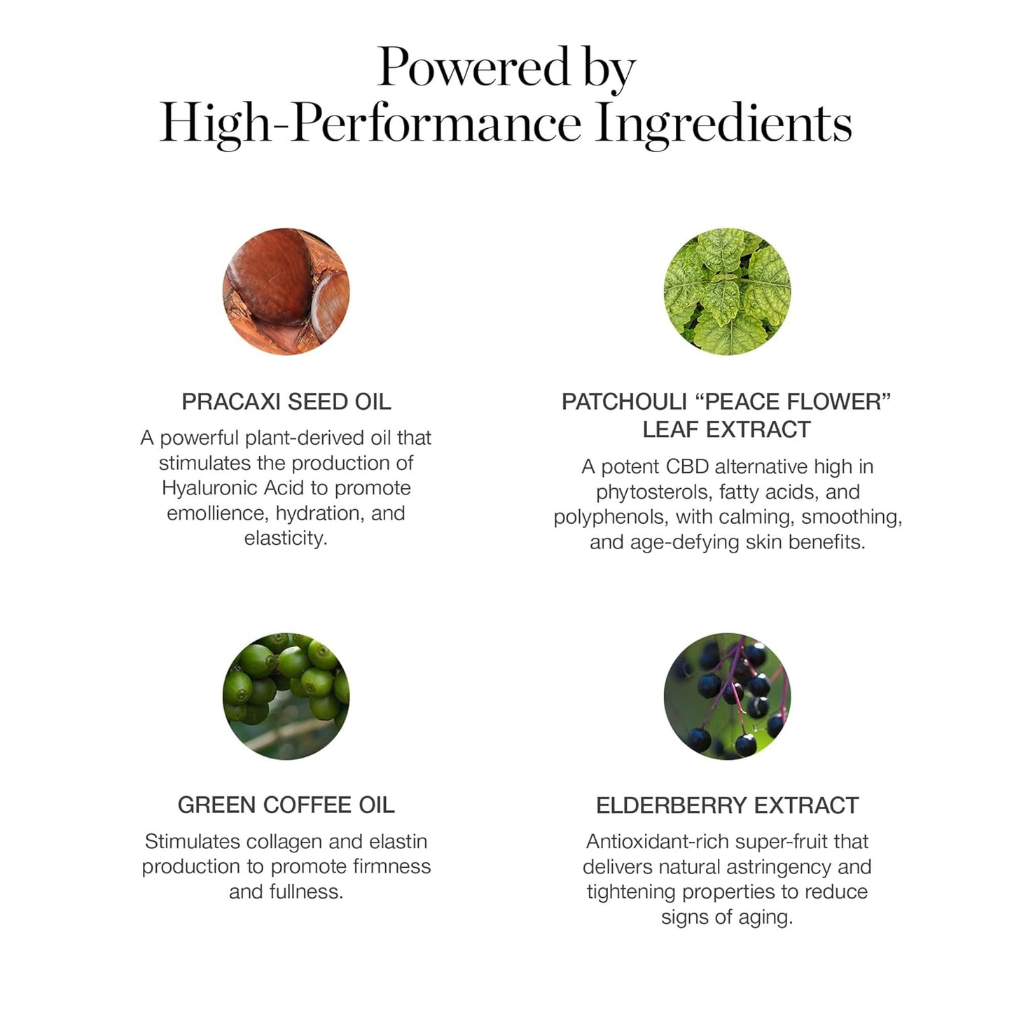 Ogee Sculpted Complexion Foundation Stick (Mahogany 14.5N - Deep Cocoa, Rich Undertones) Full Coverage Foundation Makeup - Instantly Balance & Even Complexion - 70% Organic Ingredients