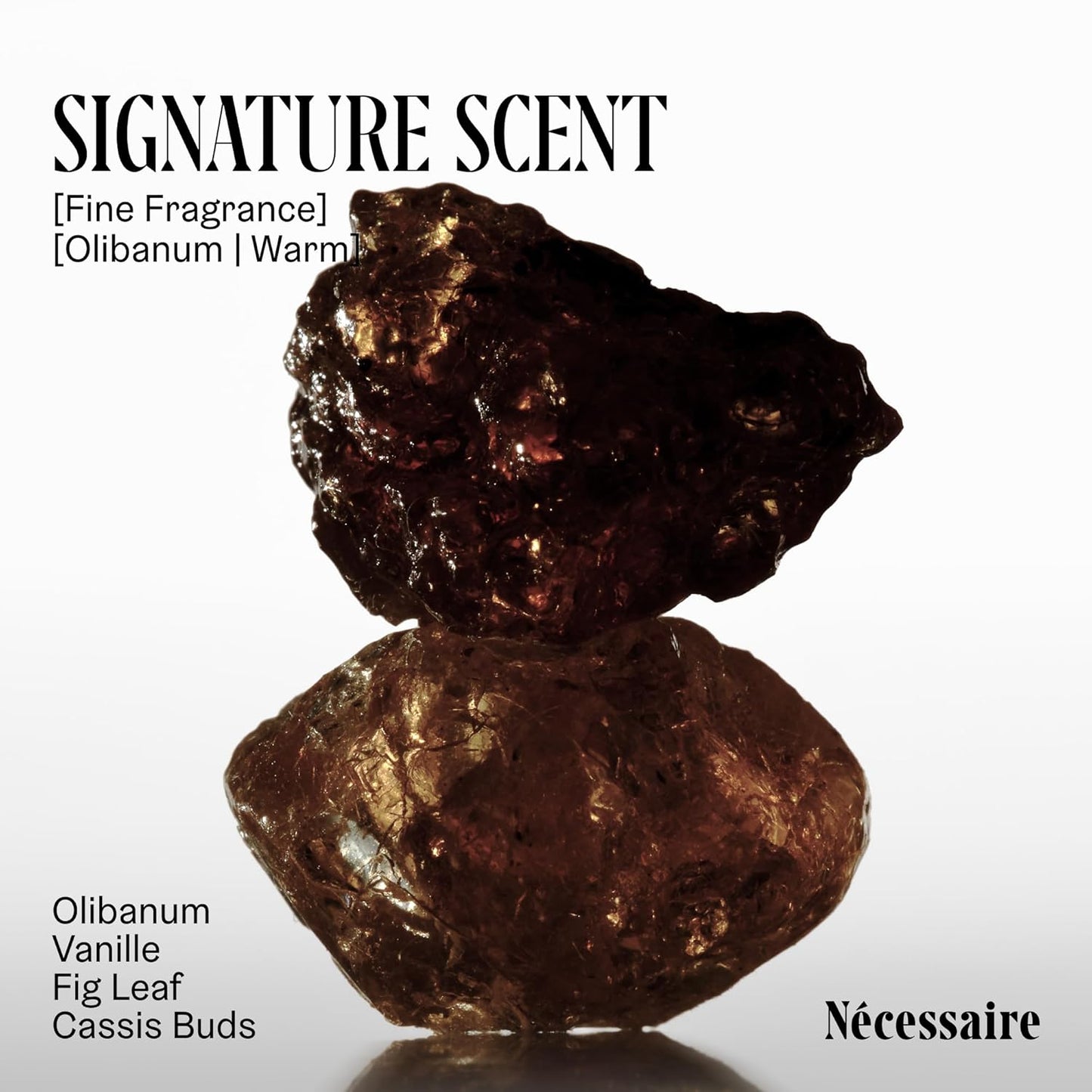 Nécessaire The Body Wash Olibanum. Natural Body Wash for Women + Men. Radiance Cleanse. Multi-Enzyme Gel Cleanser for Dull Skin. Notes of Vanilla, Fig Leaf, and Cassis Buds. 16.9 Fl Oz.