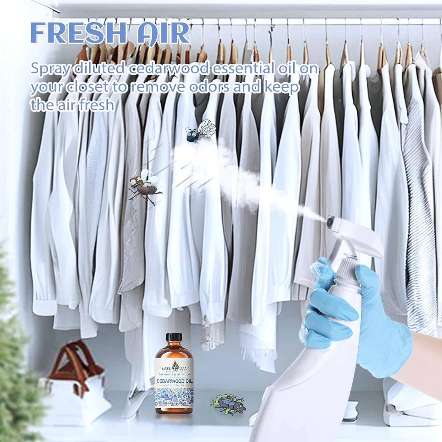 EVOKE OCCU Cedarwood Essential Oil for Air Freshening, Hair Care, Add to Spray Diffuser Conditioner - 4 Fl Oz