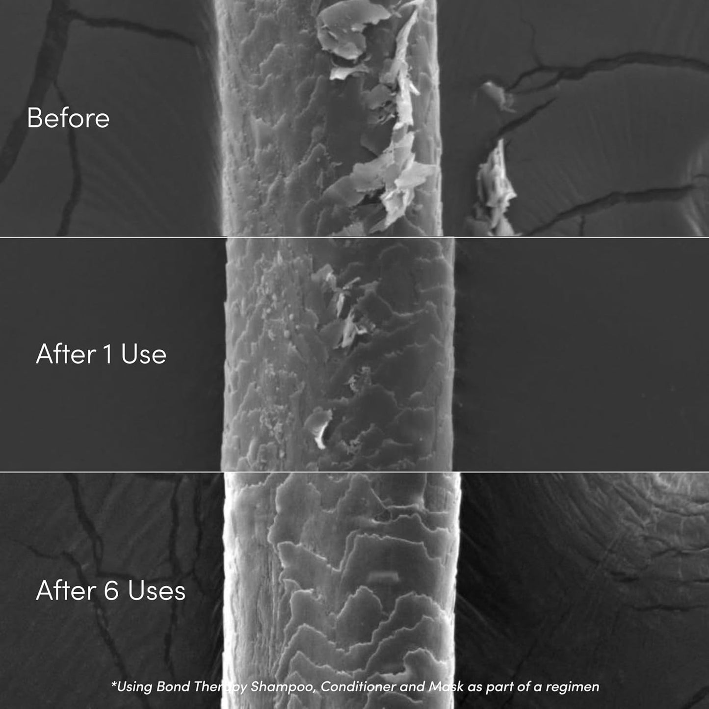 Coco & Eve Bond Therapy Pro Bond Hair Mask. Strengthening Bond-Building Treatment with Cutibond™ Repair Complex. Nourishes, Hydrates, Reduces Breakage for Damaged Chemically Treated Hair (7.17 fl oz)