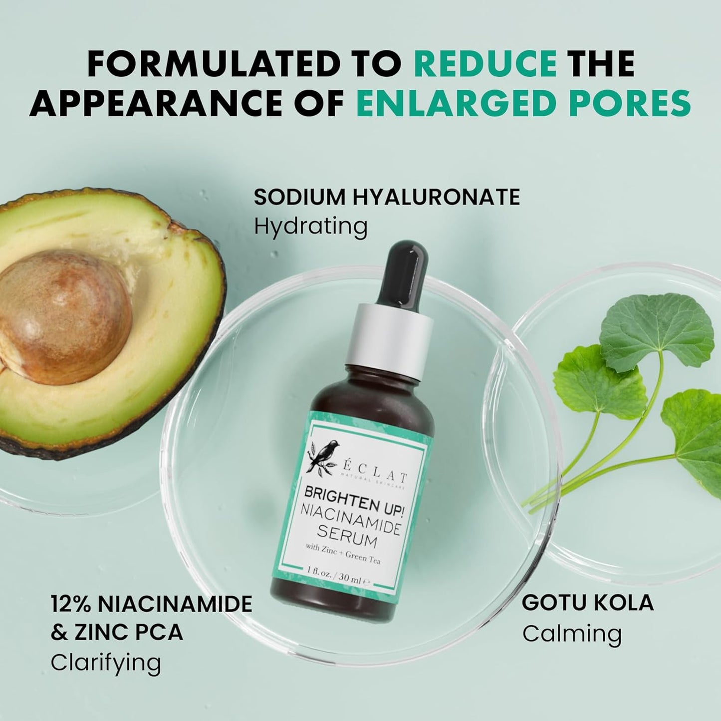 Eclat Skincare Niacinamide Serum - Pore Minimizer for Uneven Complexion - Brightening Niacinamide Serum for Face - Lightening & Moisturizing Skin Care for Dark Spots 1 fl oz