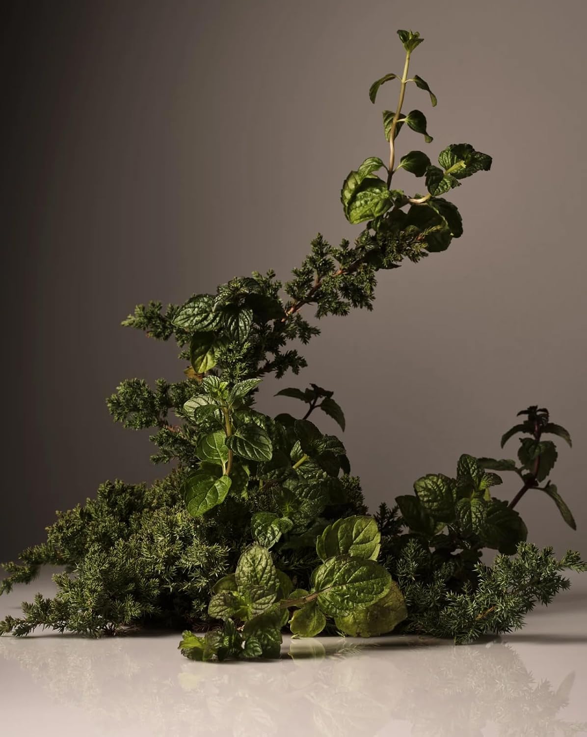 Homecourt Hand Cream, Non-Greasy Moisturizer for Hydrated, Nourished & Soft Hands, Dermatologist Tested, Clean Formula, Cipres Mint, 12 fl oz