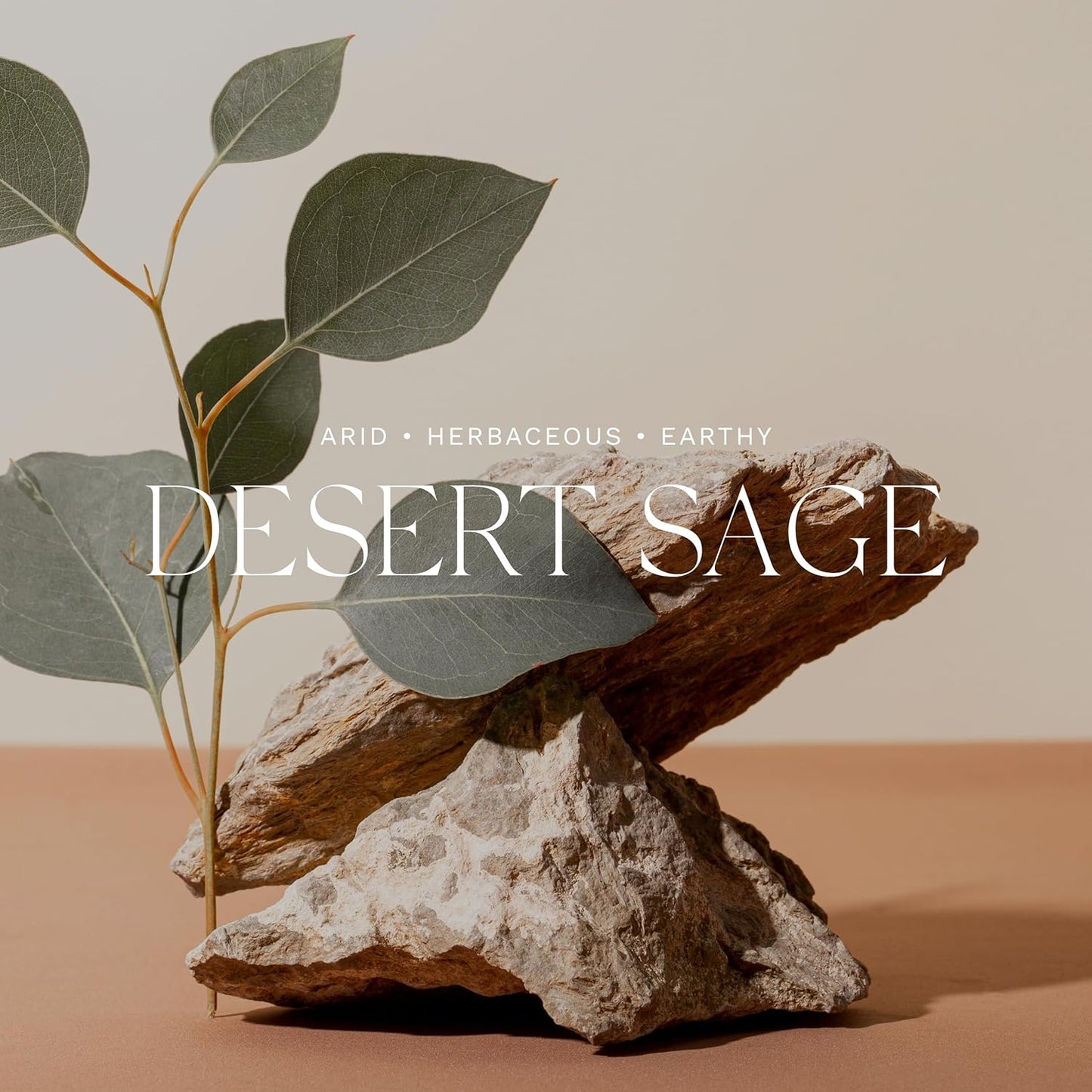 Antica Farmacista Body Moisturizer - Moisturizing Scented Lotion - Premium Body Moisturizer - Luxury Gift for Women & Men - Hand & Skin Hydration - Desert Sage, 10 Fl Oz