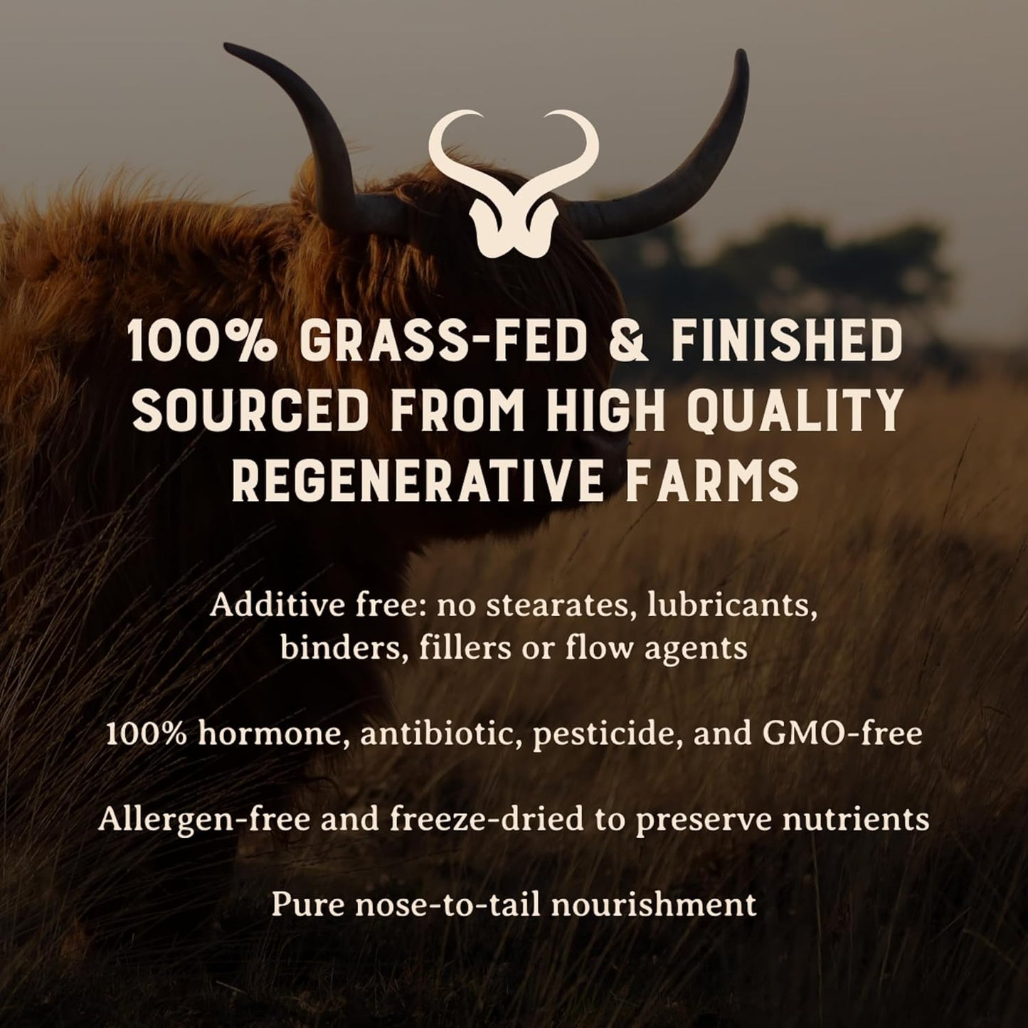 HEART & SOIL – 3000mg Skin, Hair and Nails Support Supplement with Grass Fed Beef Liver, Bone Marrow, Cartilage, Biotin, Collagen, Vitamins A, Riboflavin, Elastin – 180 Capsules