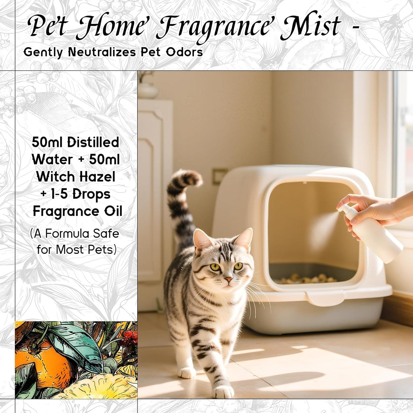 HIQILI Pomelo Paradise Fragrance Oil for Candle & Soap Making, Inspired by Alr-Cologne P.Paradis, Fresh Scents for Home Diffuser, Scenting Skin & Body, Bathroom - 1 Fl Oz