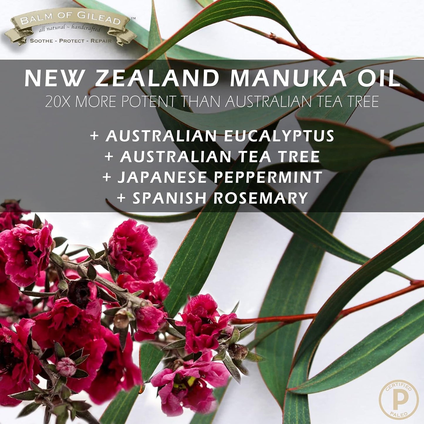 BALM OF GILEAD Tea Tree Balm - 2 fl oz Foot Cream with Tea Tree and Manuka Oil - Intensive Moisture for Itchy Feet, Eczema, Rashes & Dry Skin - Pure Balm That Softens Skin Irritations