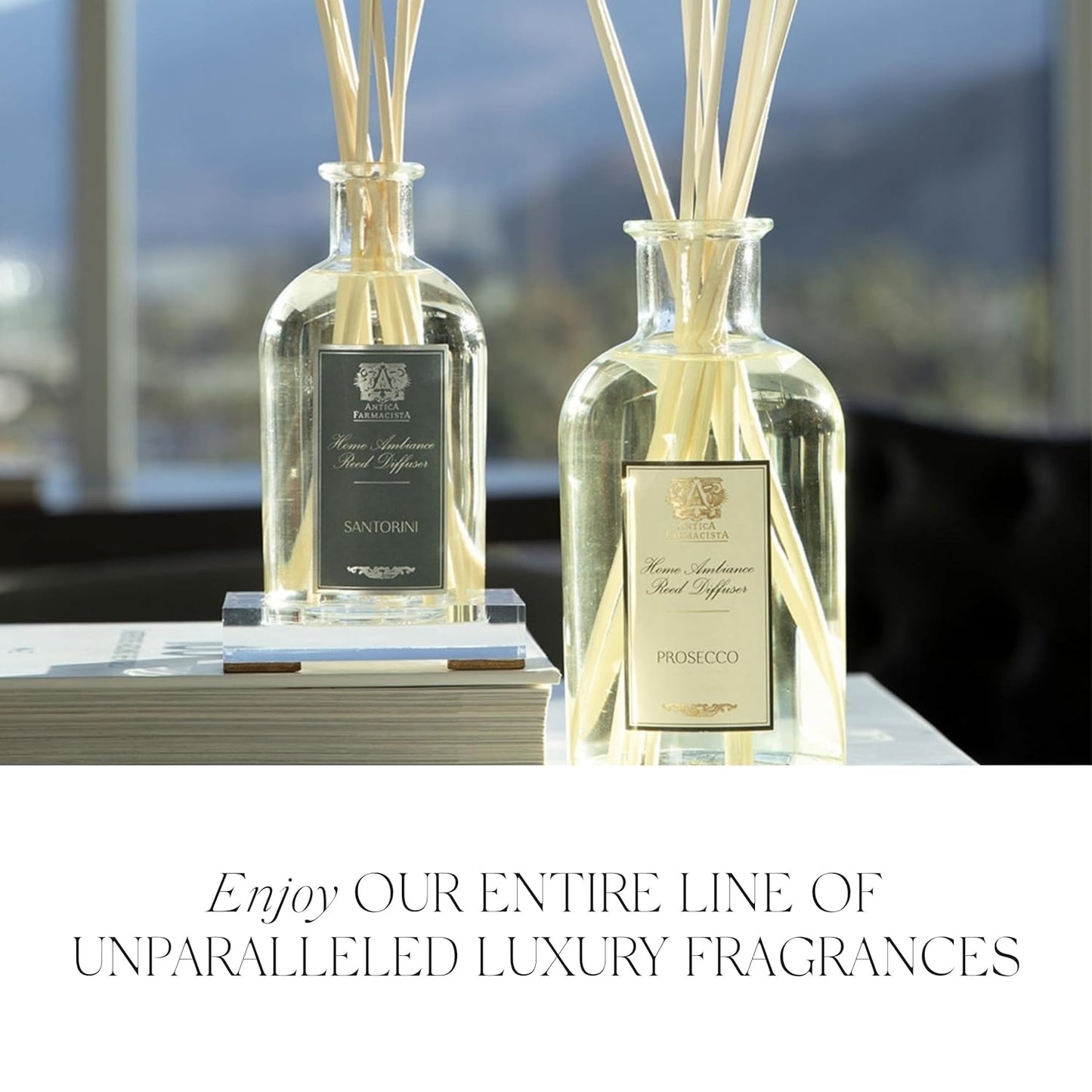 Antica Farmacista Body Moisturizer - Moisturizing Scented Lotion - Premium Body Moisturizer - Luxury Gift for Women & Men - Hand & Skin Hydration - Fig Leaf, 10 Fl Oz