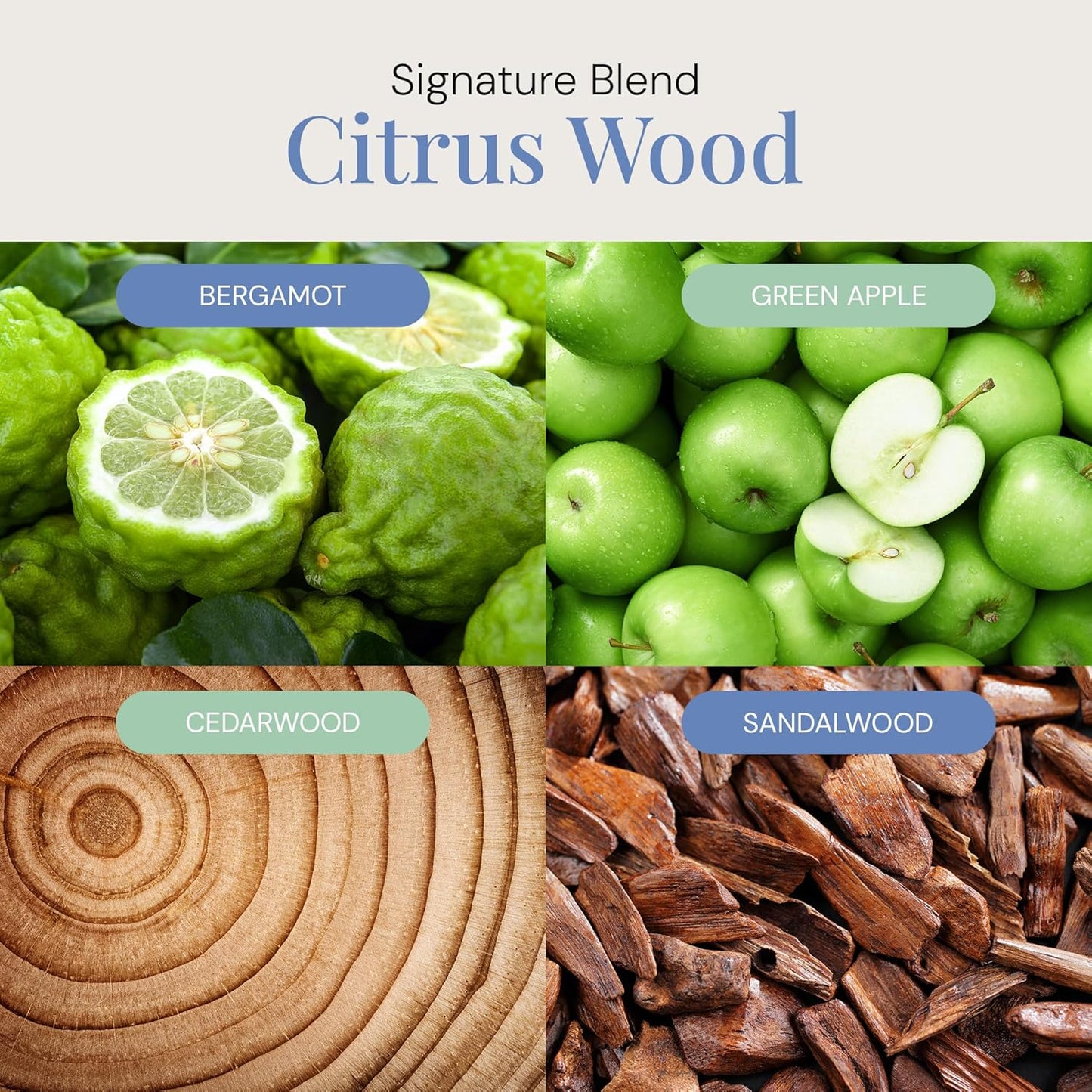 Citrus Wood Aroma Oil, Essential Oils Blend for Diffusers & Scent Machines, Fresh Bergamot & Green Apple, Aromatherapy, Cold Air Diffuser Compatible, 300 mL