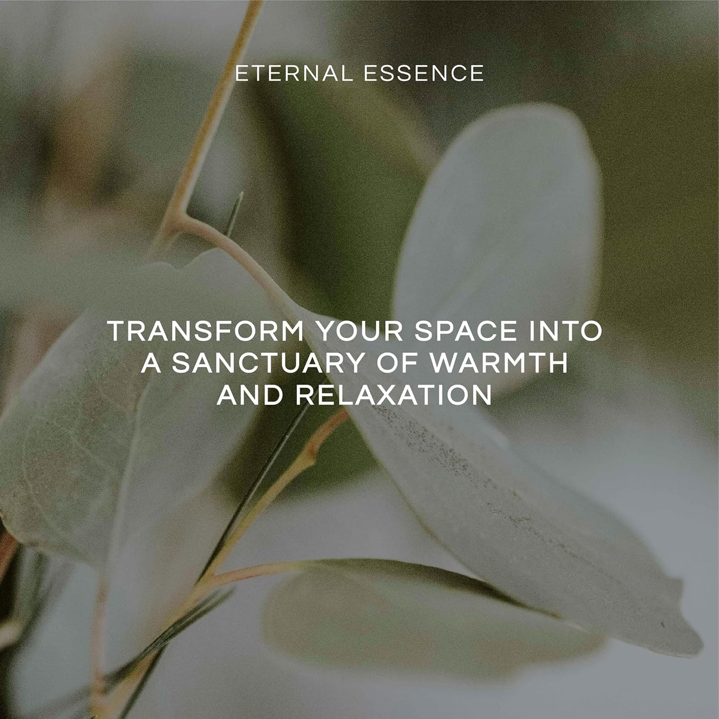 Eternal Essence Oils Citrus Set of 6 Premium Fragrance Oils - Lemon Grass, Blossom, Sugar, Lime, Grapefruit, and Pineapple - for Diffusers, Candle & Soap Making, & Aromatherapy - 10ML